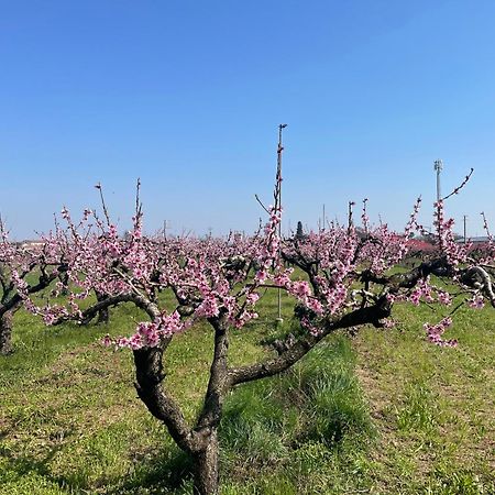 Agriturismo Corte Vecia Alloggio Della Corte Verona Exterior foto